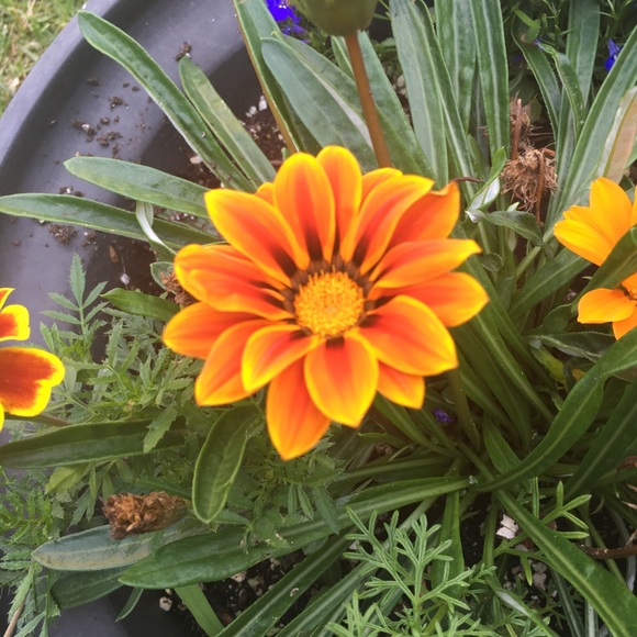 Meet your Posher, Heather - Picture 1 of 1